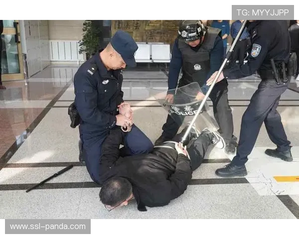 体育内容漏洞检测系统上线,安全防护能力强化